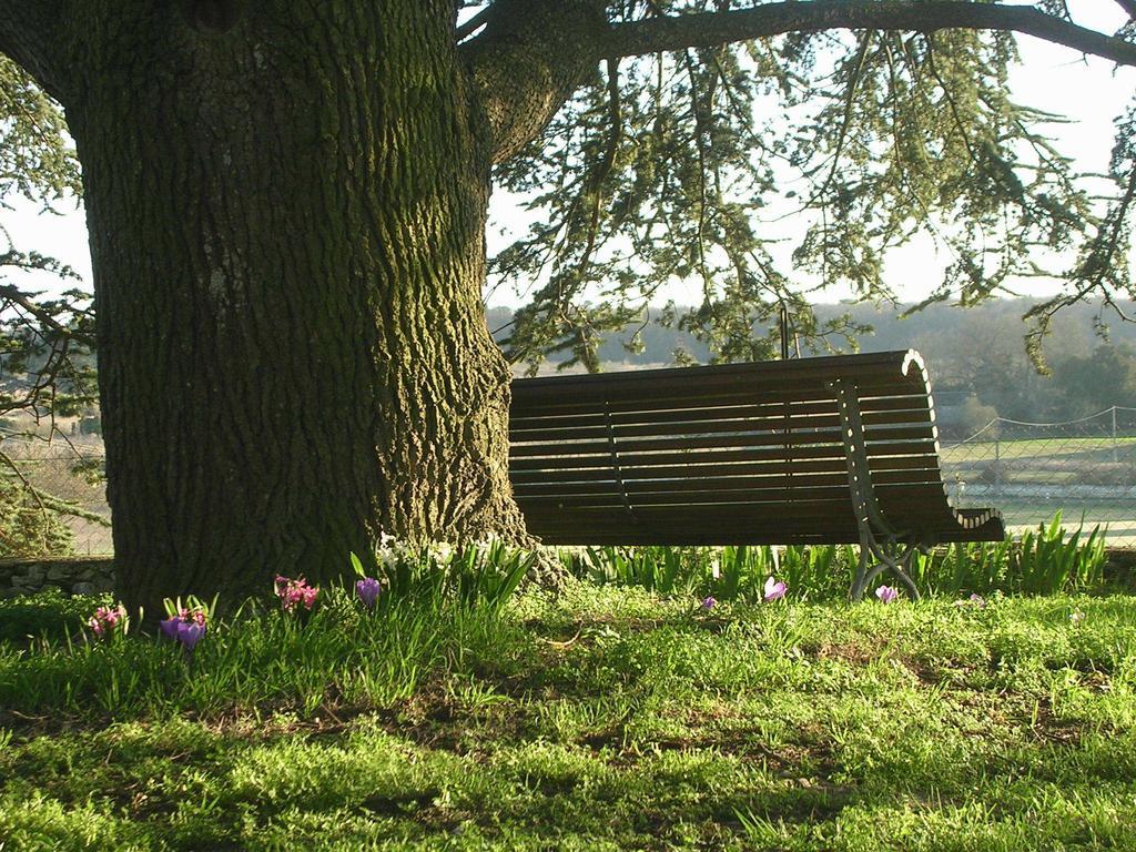Chateau De La Noblaye Bed & Breakfast Lemere Екстериор снимка