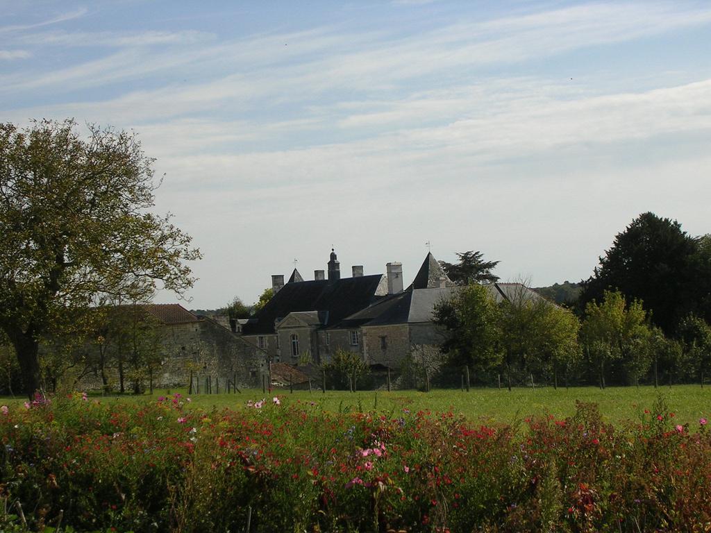 Chateau De La Noblaye Bed & Breakfast Lemere Екстериор снимка