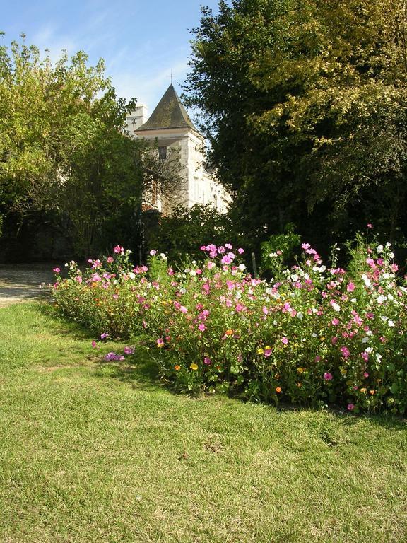 Chateau De La Noblaye Bed & Breakfast Lemere Екстериор снимка