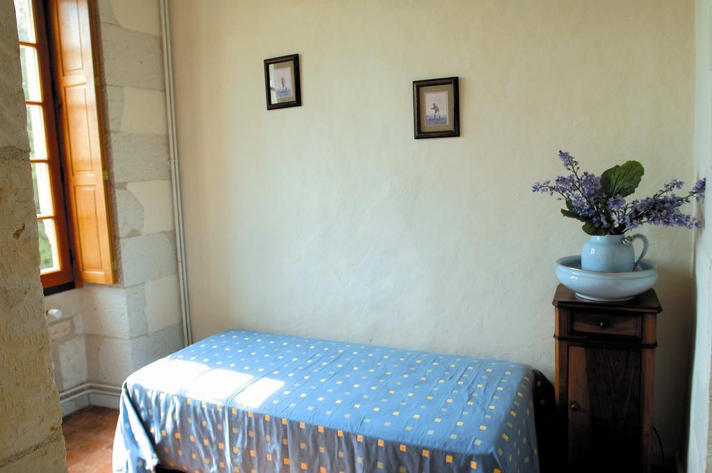 Chateau De La Noblaye Bed & Breakfast Lemere Екстериор снимка